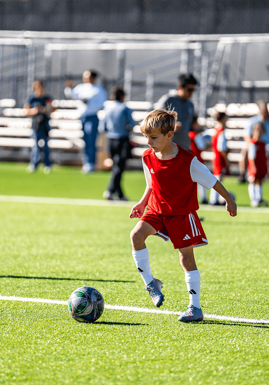 transparent-Photoroom (3) 1